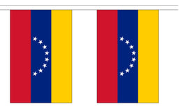Venezuela String Flag Bunting