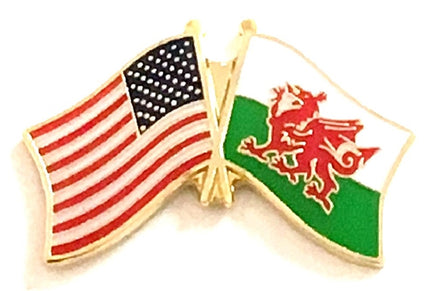 Wales Friendship Flag Lapel Pins