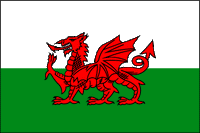 Wales Polyester Flag